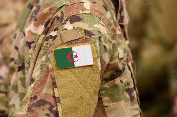 Algeria has one of the largest militaries in Africa and the largest defense budget on the continent.