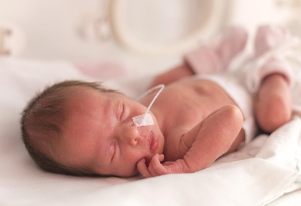 Babies who are born two weeks premature do not sweat at all, even if the weather is too warm.