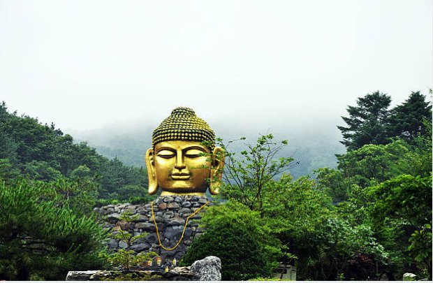 Buddha spent 29 years as a prince in Kapilavastu.