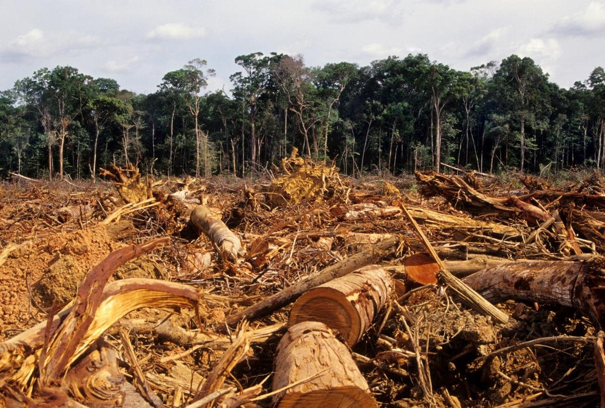 Haiti is also one of the most deforested nations of the world.