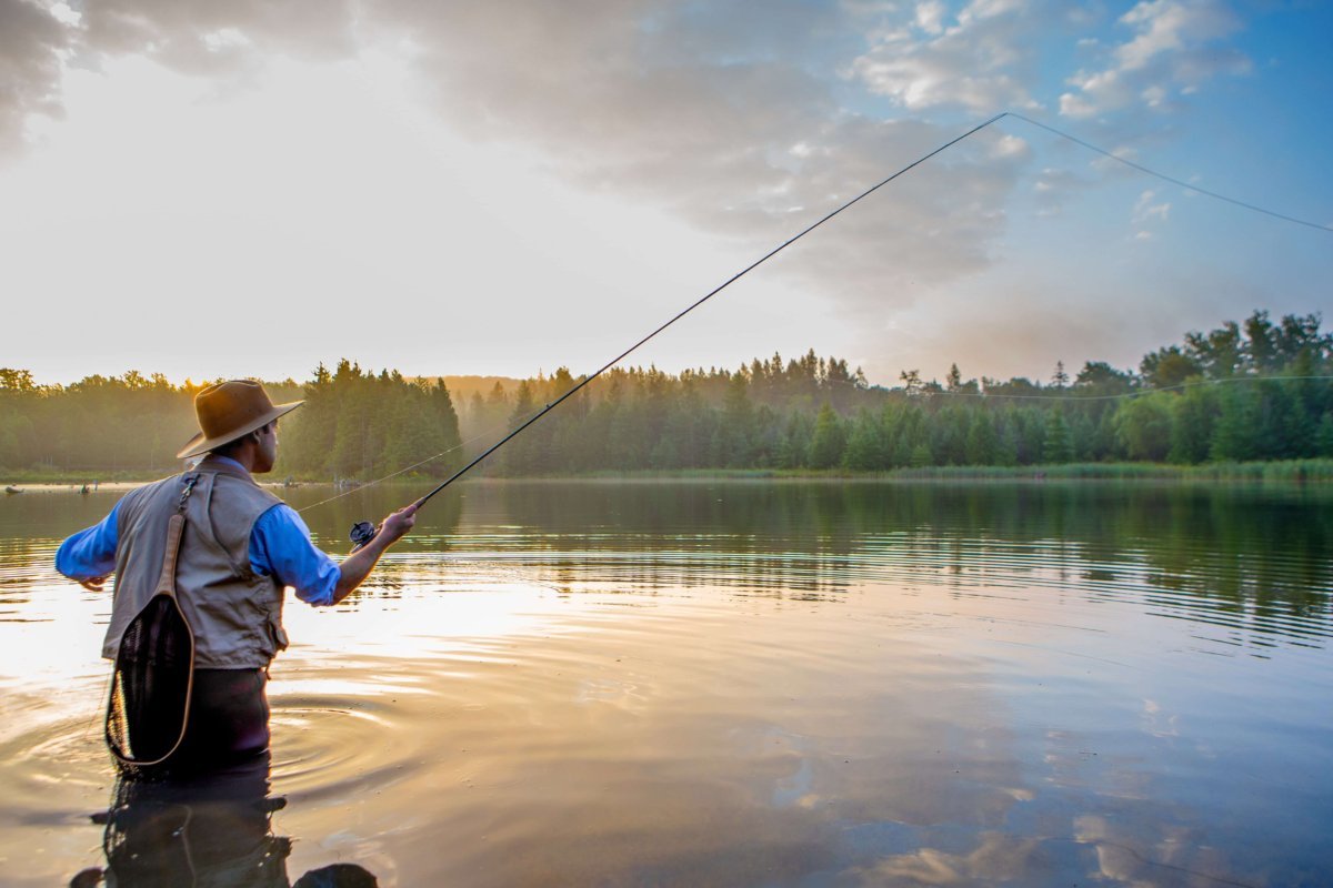 In America, near about 40% of the lakes are too polluted for fishing, swimming or aquatic life.