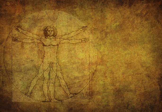 Leonardo Da Vinci switched the muscles with strings to see how they worked after dividing cadavers.