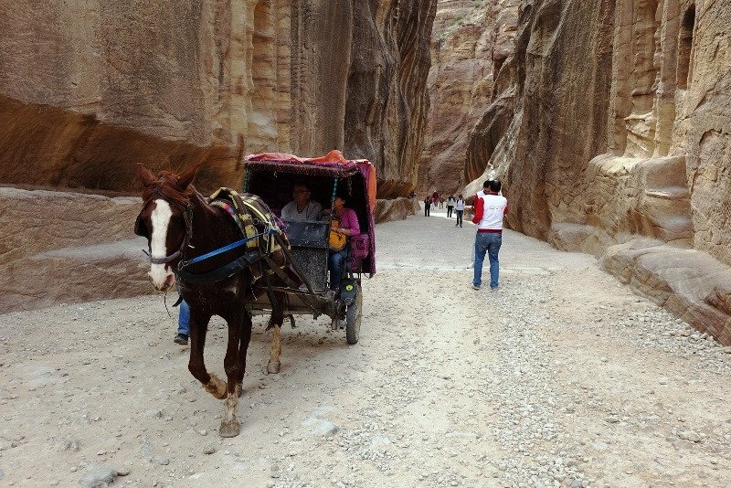 Petra is an important junction for the silk trade