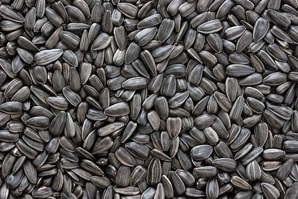 Sunflower seeds can be mixed with Rye Flour to make a form of bread, eaten extensively in Germany, called Sonnenblumenkernbrot.