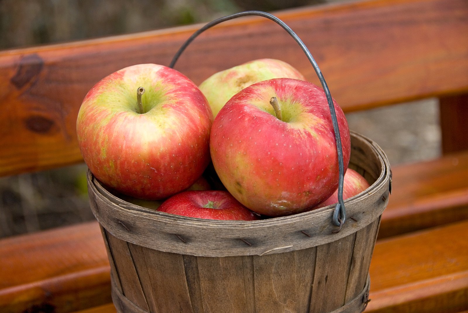 A peck of apples weighs 10.5 pounds.