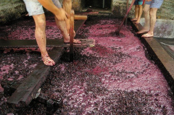 Alcoholic drinks made from fermented grapes in China.