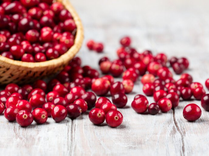 Americans consume 400 million pounds of cranberries each year.