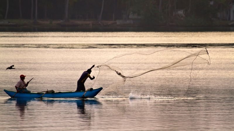 Asia, which became the base for the fish industry in the 1980s.