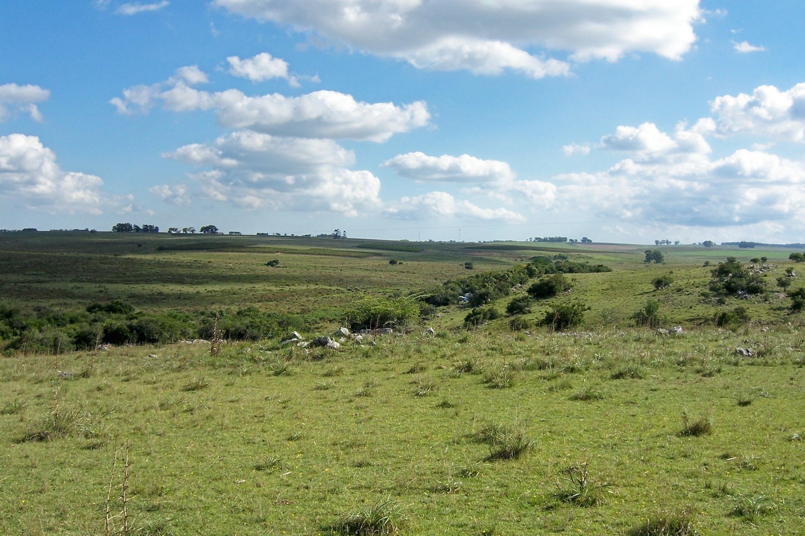 Cerro Catedral at 514m is the highest point in Uruguay.