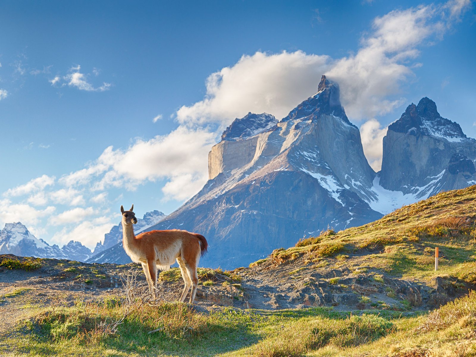 Chilean Patagonia is one of the cleanest places on the planet - Serious Facts