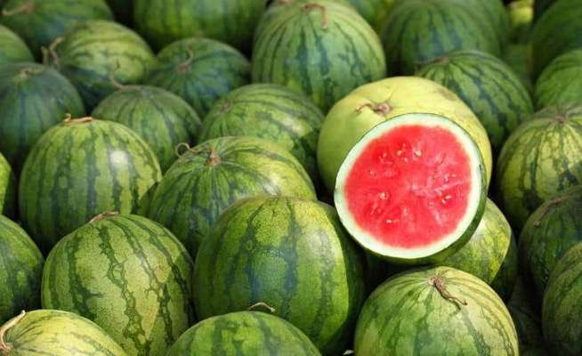 China is the leading producers of watermelons.