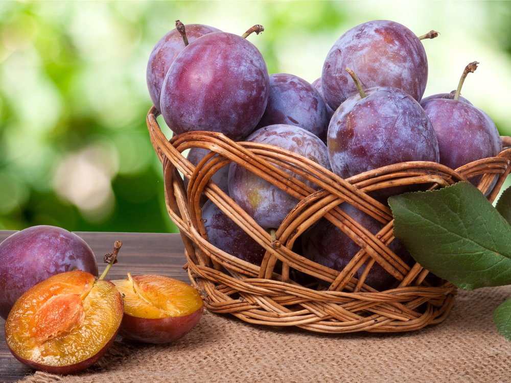 China is the world’s leading producer of plums accounting.