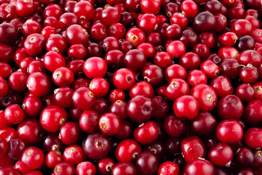 Cranberries have approximately 90% water.