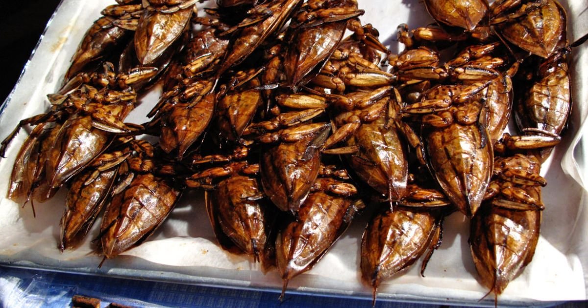 Deep fried cockroaches are consumed as food in some parts China and other Eastern countries.