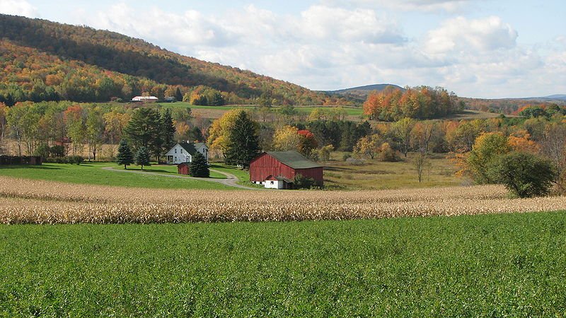 Farming