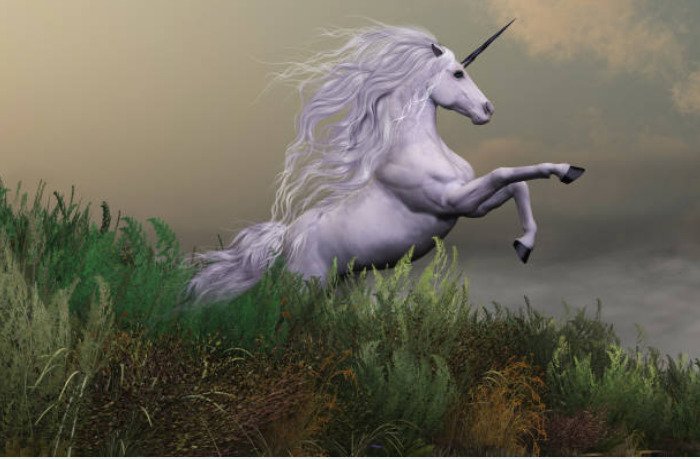 In the Middle Ages a unicorn became seen as a symbol of purity and grace.