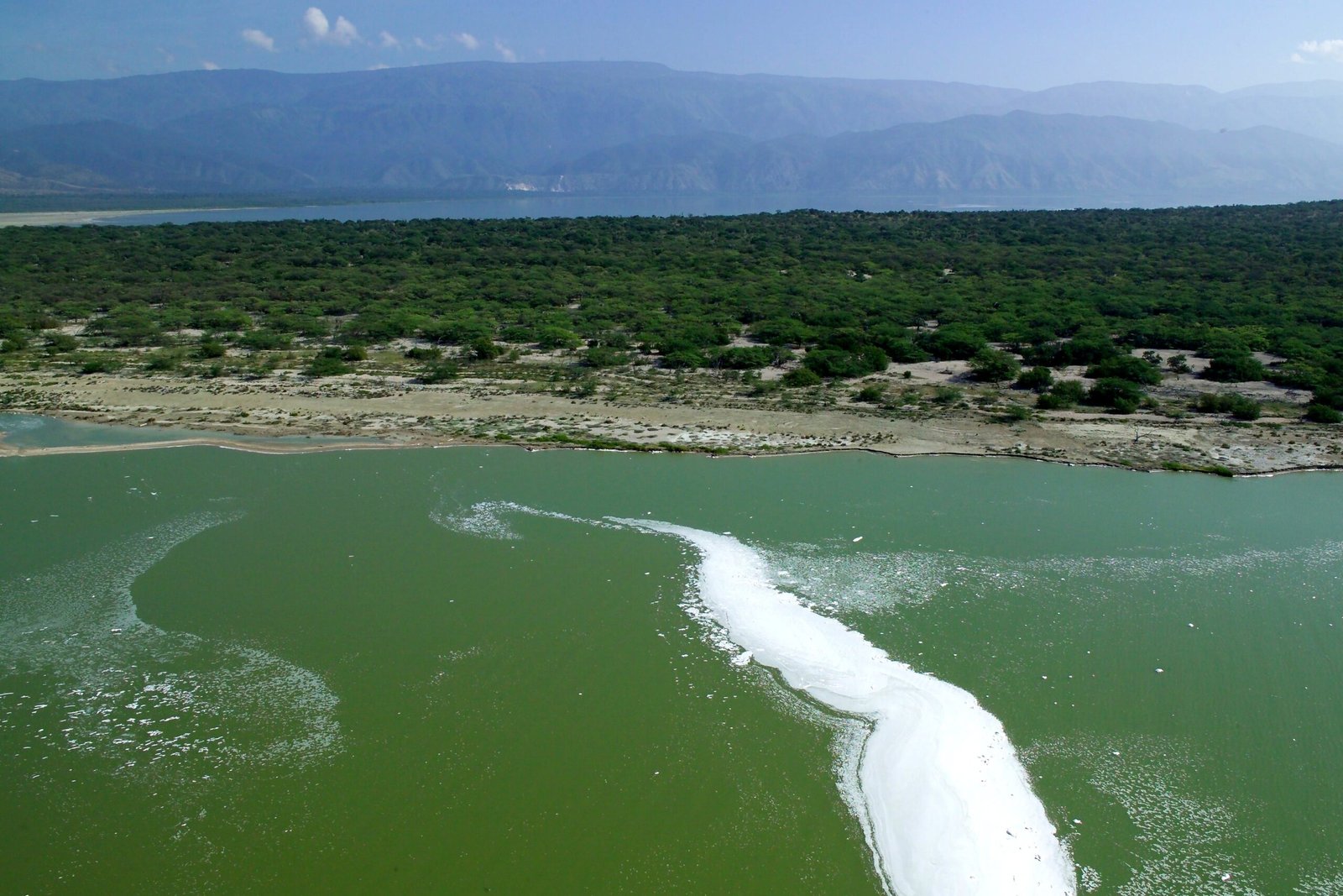 Lago Enriquillo lake in the Dominican Republic is world’s largest salt lake with 400 species of the American crocodile.