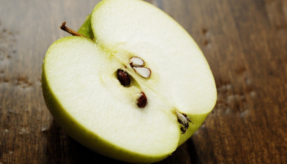 Pear and Apple seeds contain arsenic, which may be deadly to dogs.