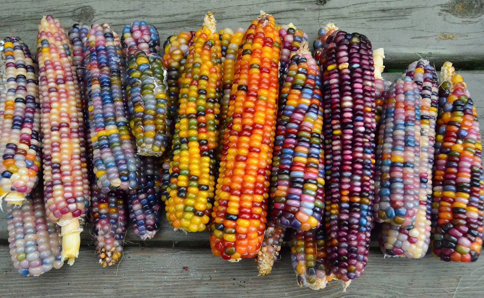 Peru produces more than 55 varieties of corn with the different range of colors.