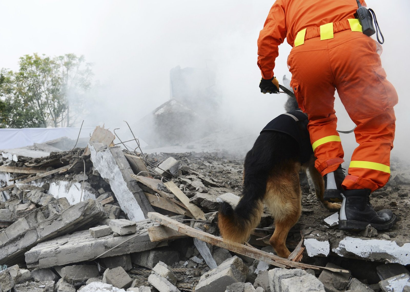 The earthquake in Japan had a magnitude of 9.0 and killed over 15000 people on March 11, 2011.