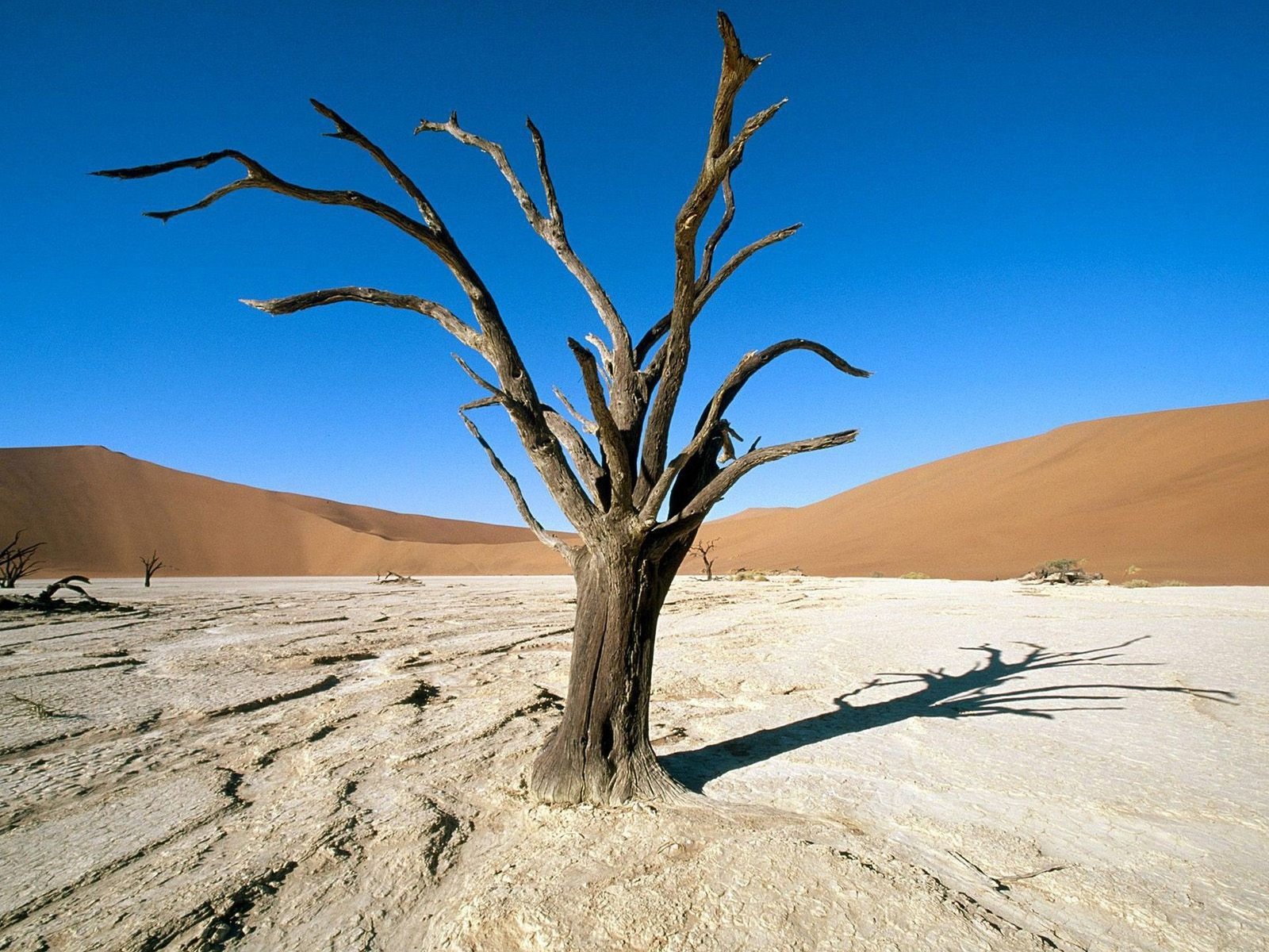 The Namib in Africa