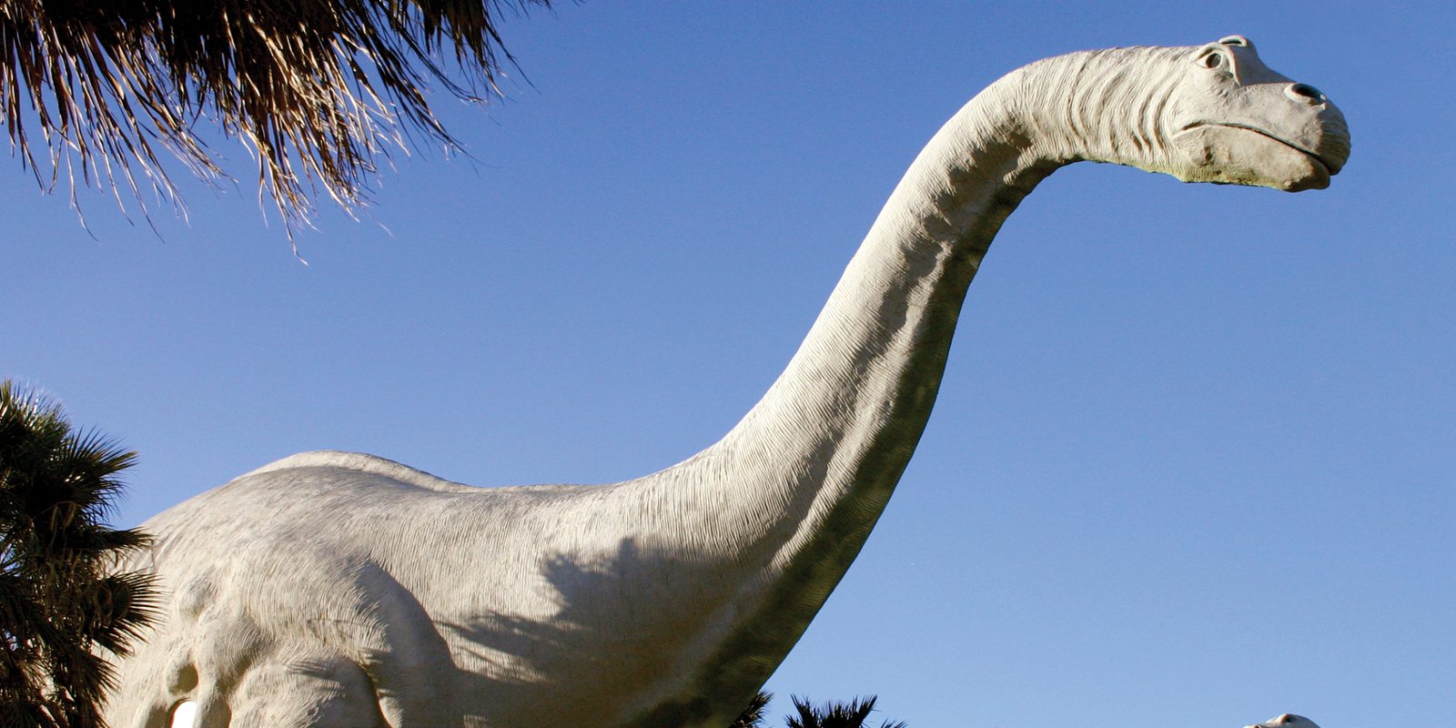 The heaviest dinosaur was Argentinosaurus at 77 tonnes.