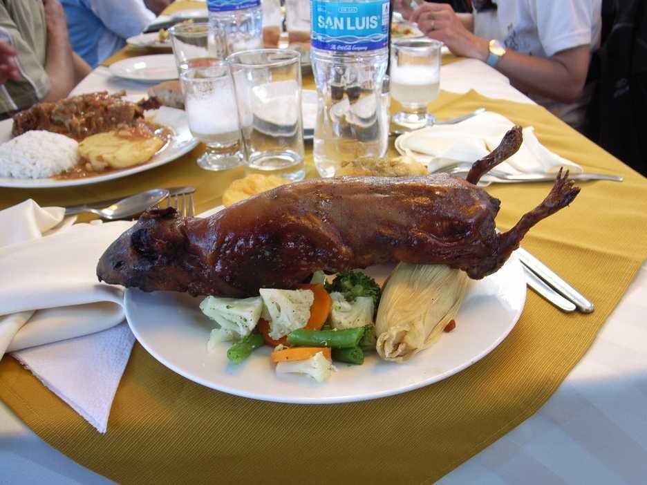 The guinea pig is a traditional meal that Peruvians eat.