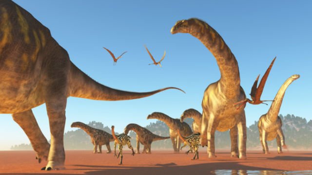 The dinosaur with the longest claws was the Therizinosaurus.