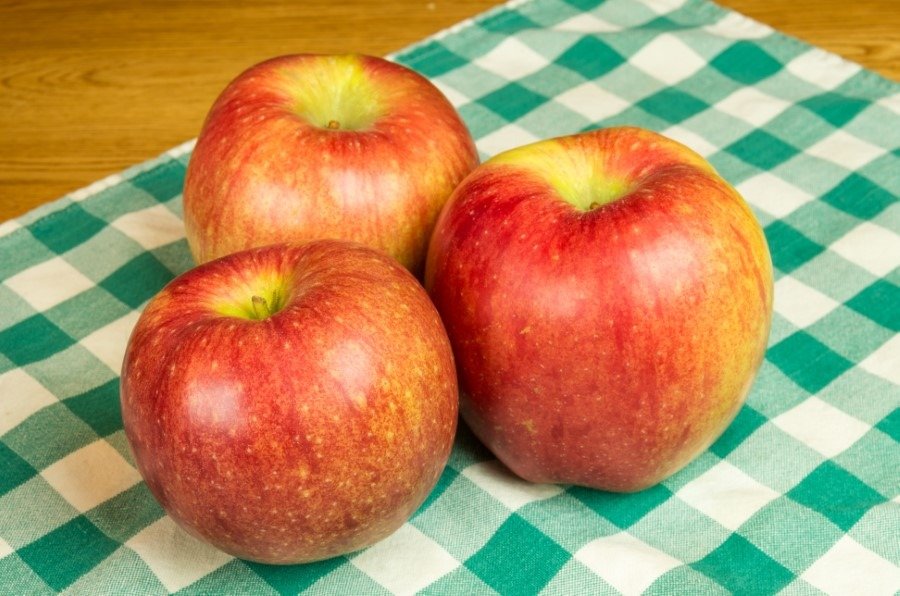 The most expensive apple in the world is Sekai Ichi apple it cost $21.00 each.