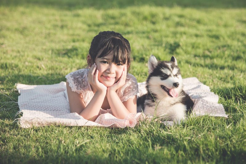 The number of pets is more than the children in Japan