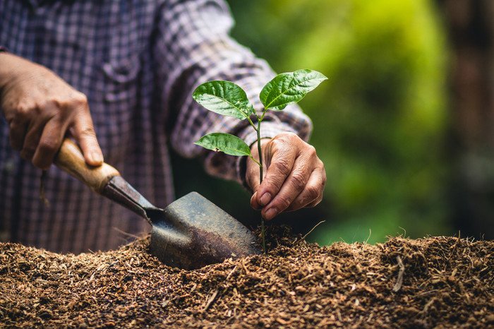 The passion fruit vine can grow in a variety of soil environments.