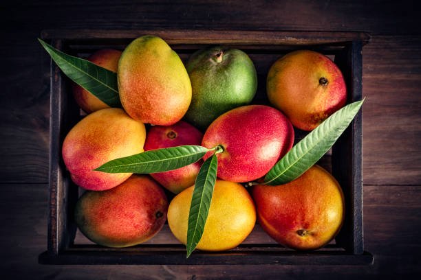 The ripe Mango changes in size and color. It may be of orange, yellow, green and red.