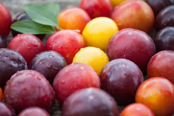 The skin of Plum can be red, yellow or purple in color.