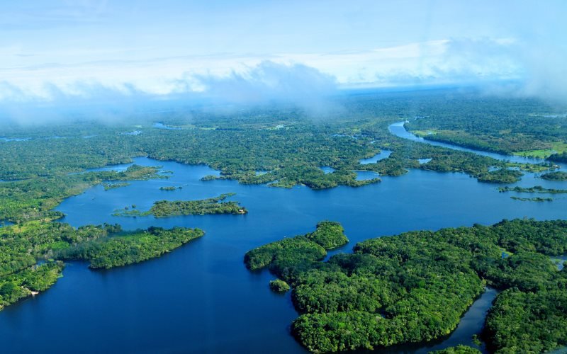 The world’s one- fifth fresh water is found in the Amazon basin.