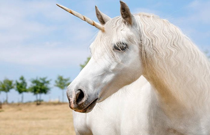 There are a total of nine unicorn in the King James version of the Old Testament.