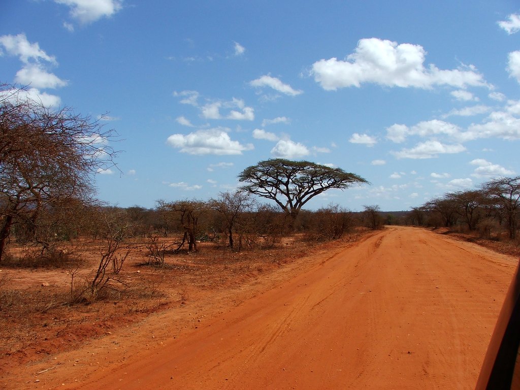 Tsavo is the largest national park in Kenya.