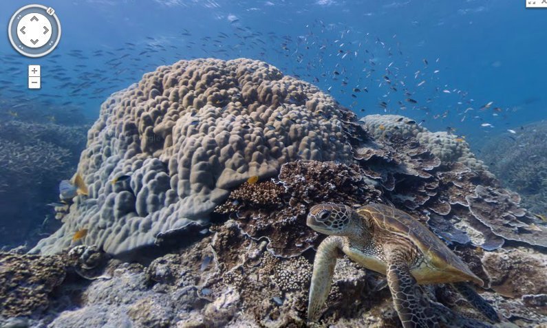 Underwater sea life using Google Maps