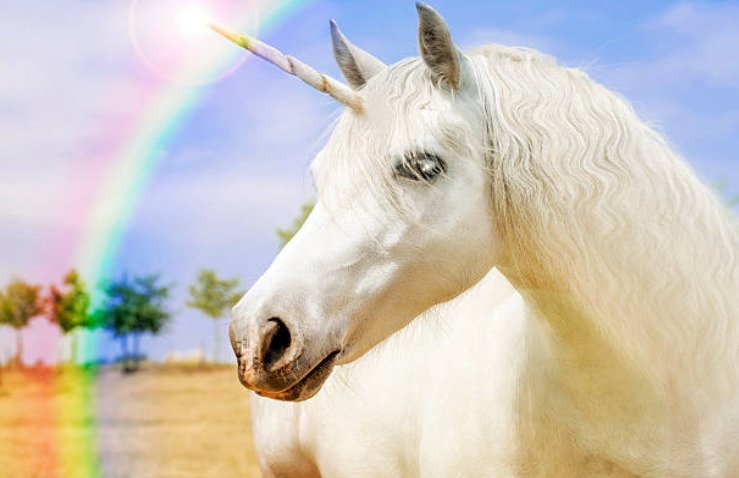 Unicorns can be any color, from jet-black and brown to dazzling gold.