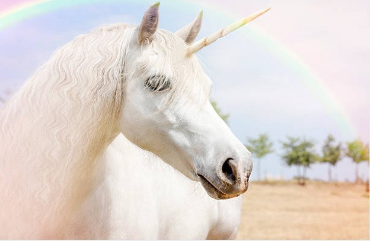Unicorns live in groups of four or five that make up a joyous family.
