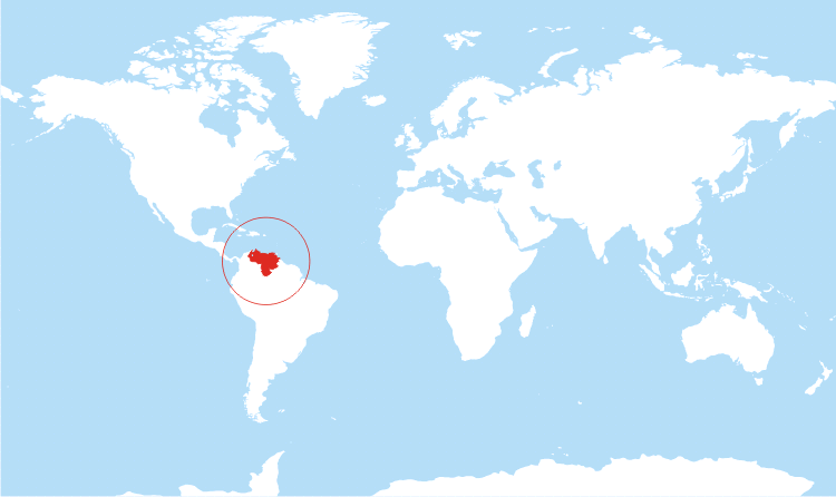 Venezuela is located on the northeast coast of South America.