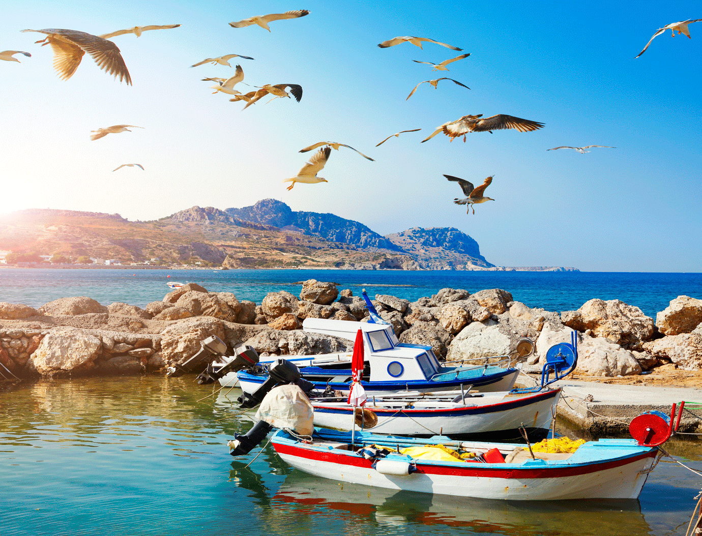 birds in Greece