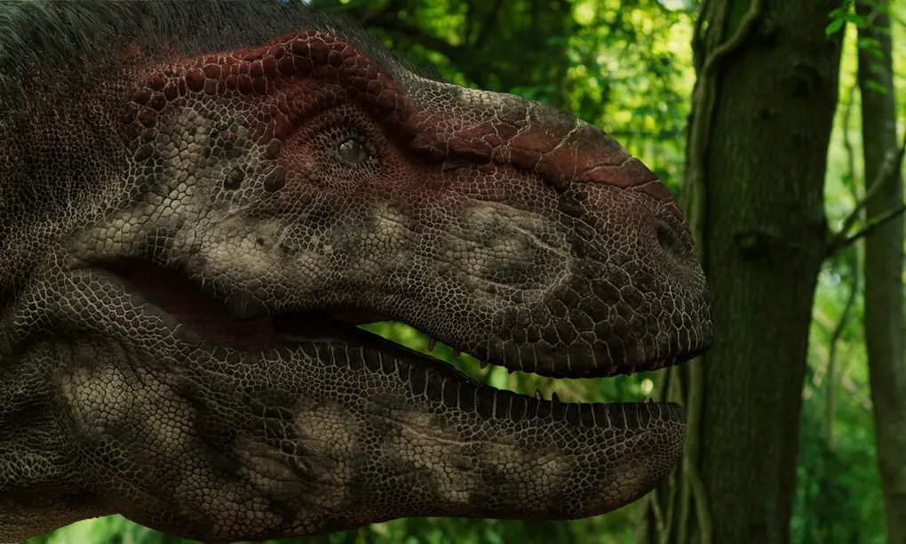 40 Surprising Dinosaurs Facts