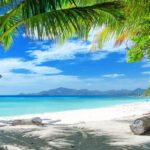 40 Interesting and Surprising Jamaica Facts