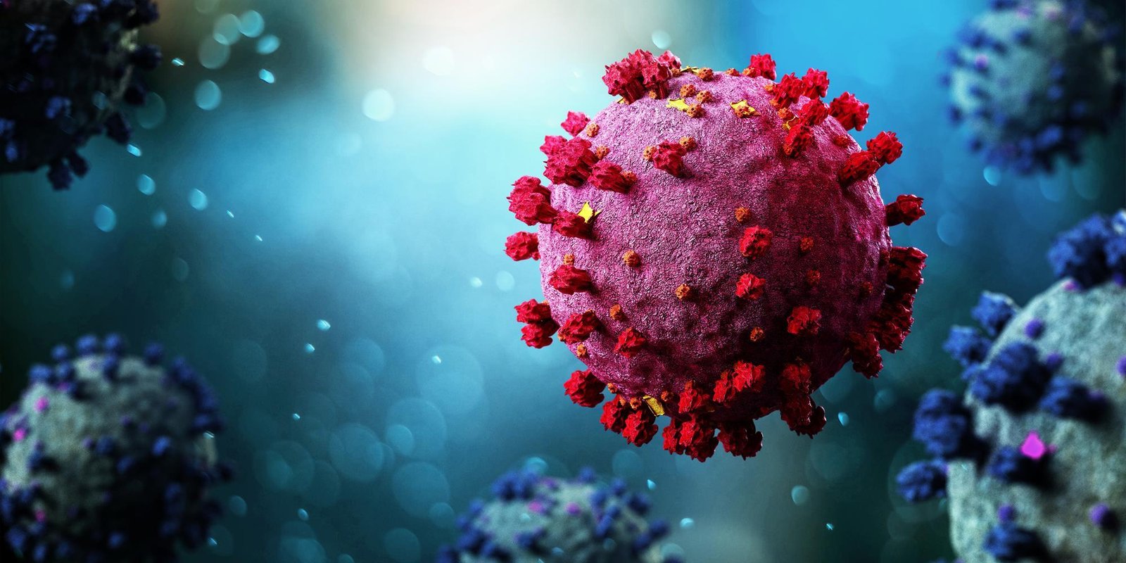 26 Interesting Coronavirus Facts