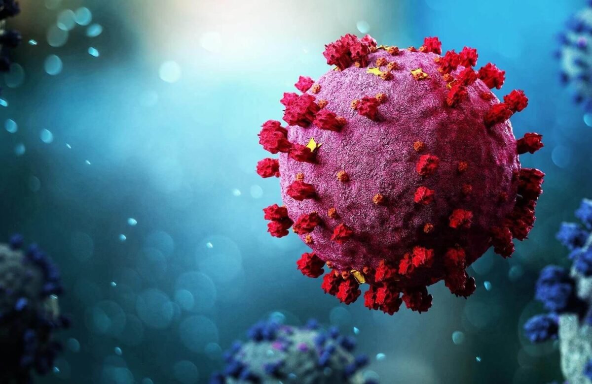 26 Interesting & Unknown Coronavirus Facts