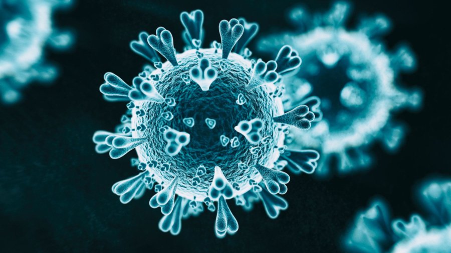 coronavirus mild cases