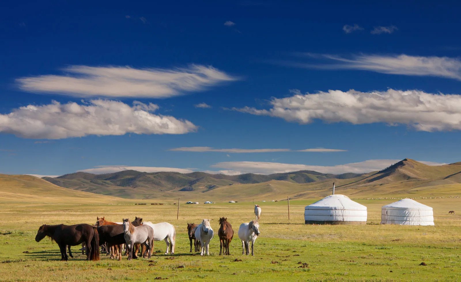  40 Interesting Mongolia Facts