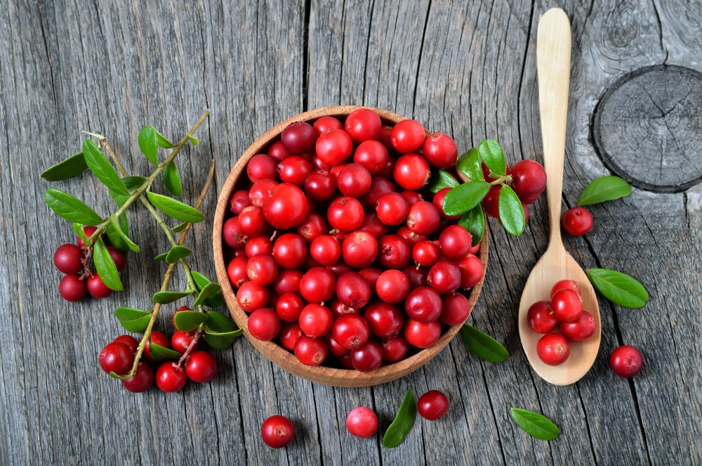 40 Interesting Cranberry Facts